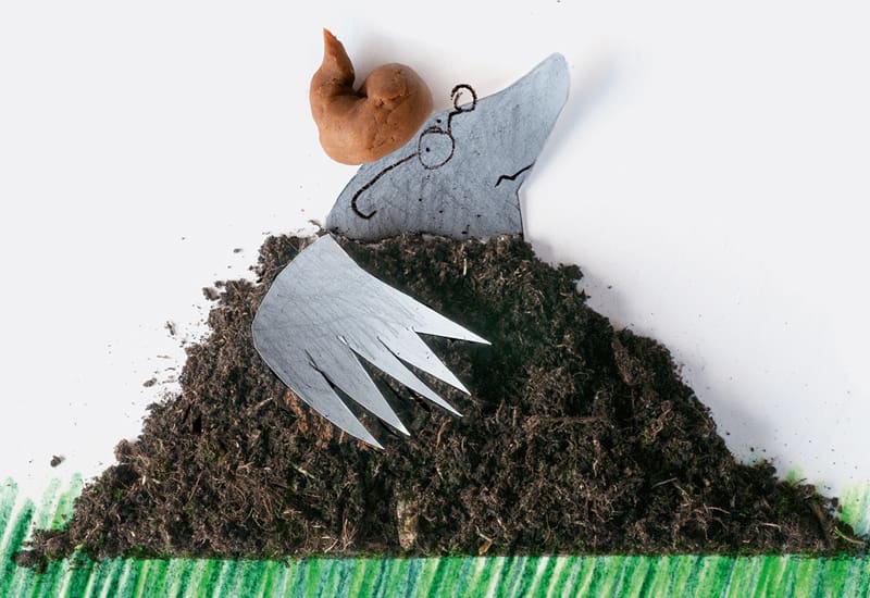 mol_Paulina Matusiak