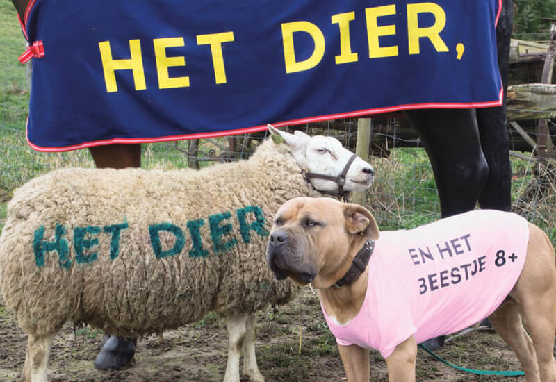 Het dier het dier en het beestje_Theater Artemis(c)_Agendabeeld Het dier het dier en het beestje - Theater Artemis