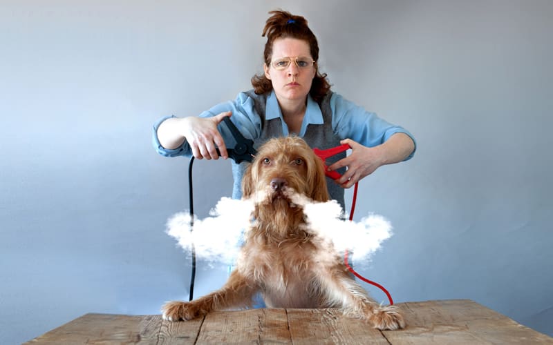 Kim van Zeben_De hond die licht ga(c)Esther de Boer_Agendabeeld De hond die licht gaf - Kim van Zeben - Foto: Esther de Boer